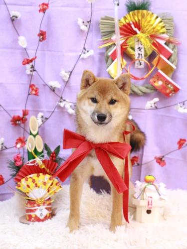 20230111ひいくん